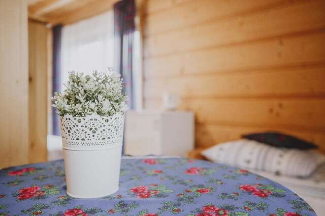 Лоджи Domki i Pokoje obok Term Chochołów U Tadka Хохолув-11